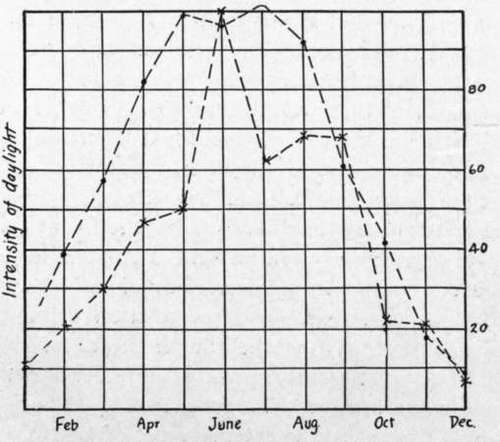 Variation of intensity of daylight through the year; two different sets of measurements.
