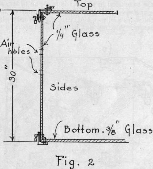 Section through glass case.