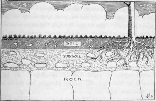 Soil Formation: Rock, Subsoil, And Soil