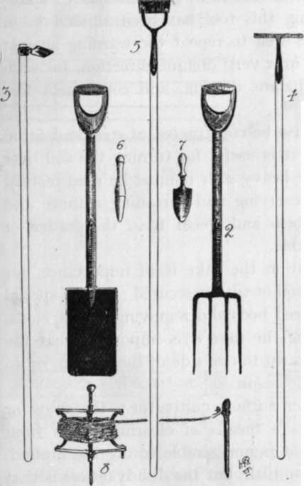 a set of school garden tools