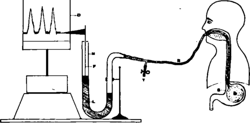 Diagram Showing Method Of Recording Gastric Hunger Contractions