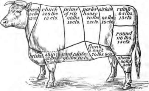 The names and prices of various cuts of beef.