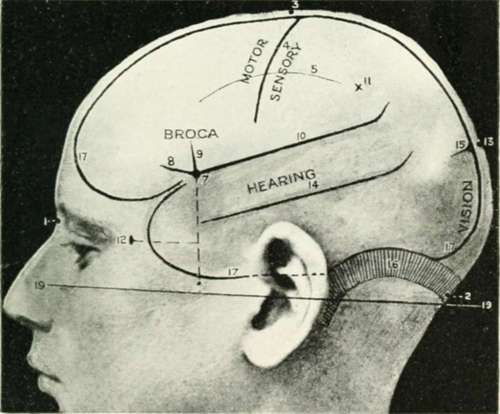 Cranio Cerebral Topography 25