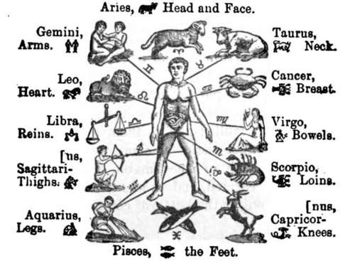 Body Astrology Chart