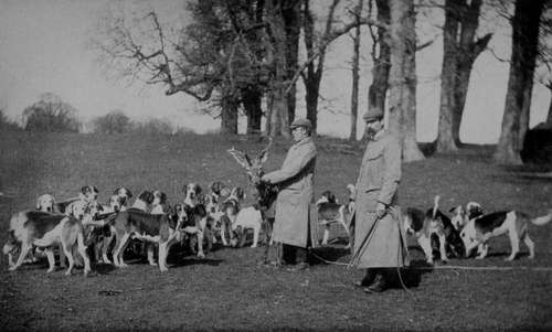 Mr Walter Winans' Pack of Hounds and Master.