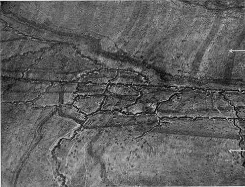 Captured German photograph, showing zones of poor definition due to vibration during passage of focal plane shutter aperture.