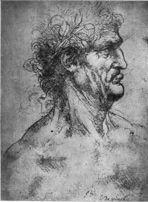 Study Of A Head Crowned With Laurel