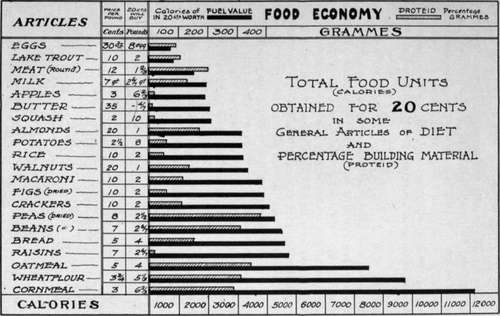 Food Economy 4