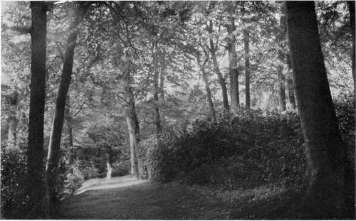 A UNIQUE EFFECT AT CLIVEDEN, ESTATE OF W. W. ASTOR.