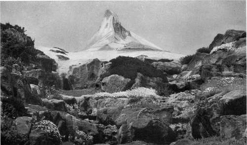 AN ASTONISHING COLLECTION OF ALPINE FLOWERS, AND A REPRODUCTION OF THE MATTERHORN ON A SCALE OF SEVERAL ACRES.