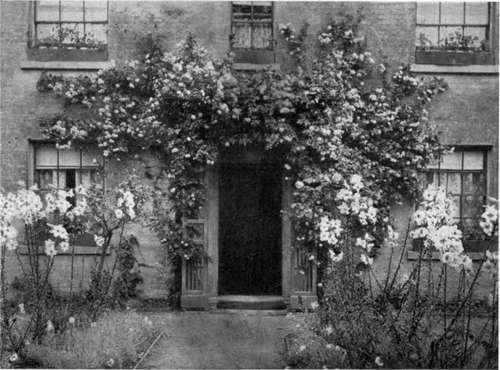 EVERY COTTAGE GARDEN IN ENGLAND IS LIKELY TO HAVE ITS SPECIALTY.