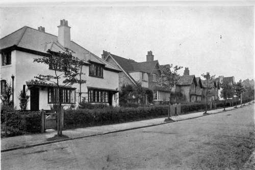 EVERY STREET HAS ONLY ONE KIND OF TREE AND EVERY YARD HAS A HAWTHORN HEDGE.