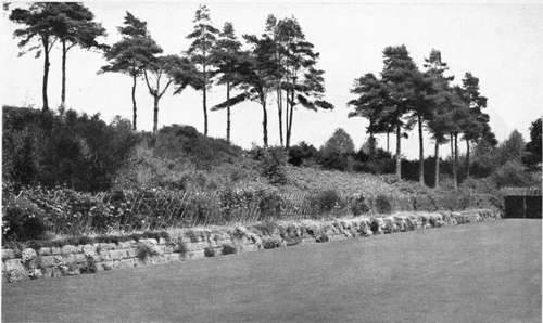 ONE SIDE OF THE BOWLING GREEN AT GRAVETYE, SHOWING A LOW RETAINING WALL.