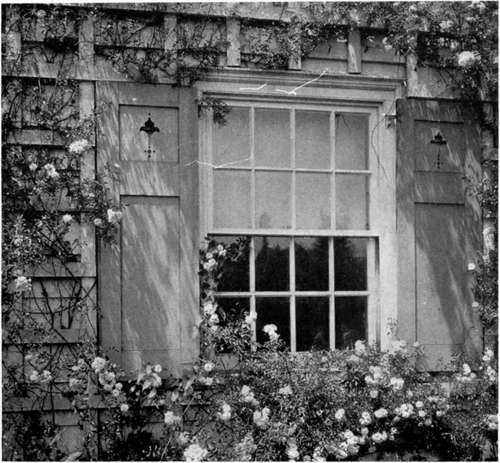 walls covered with climbing roses.