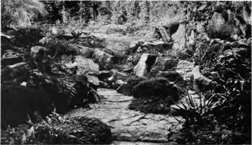 A rock garden