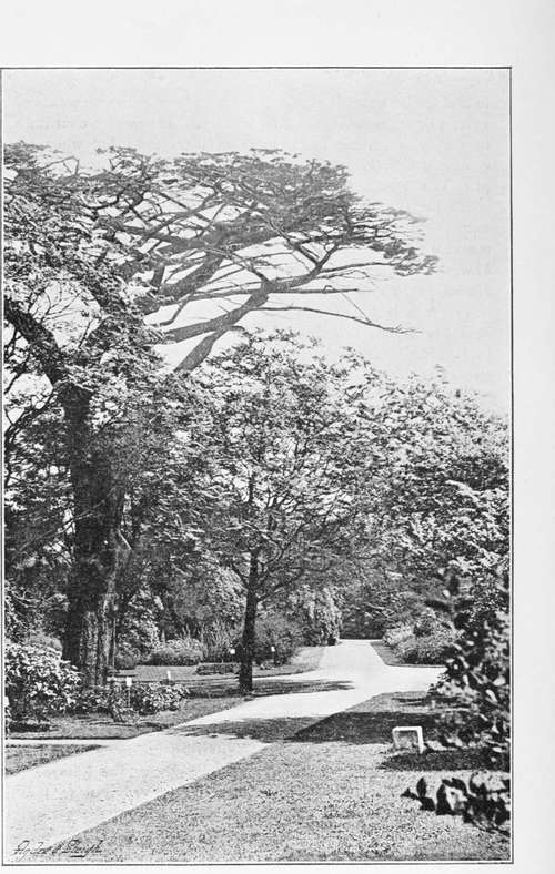 APOTHECARIES GARDEN, CHELSEA (IN 1894).