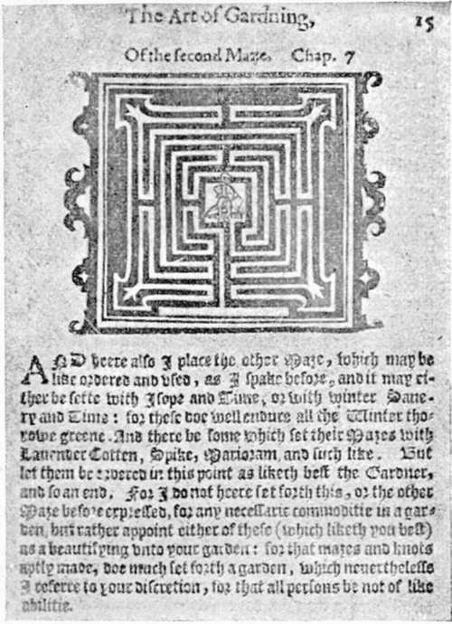 Maze.