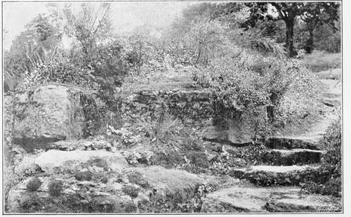 Rock garden, batsford.