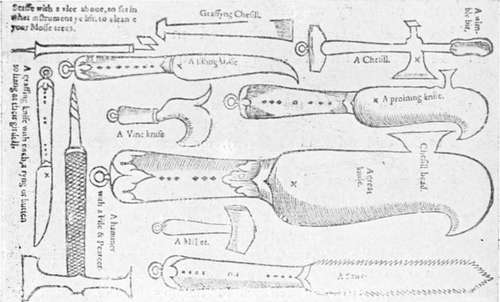 Tools used in grafting.