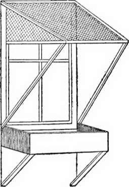 XX Window And Veranda Boxes 16