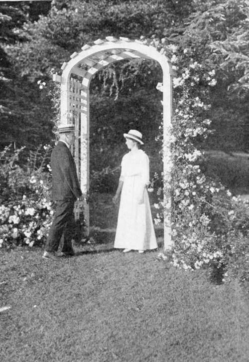 Climbing Roses on a Garden Gate.