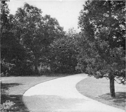 Goon Shade Trees on Home Grounds.