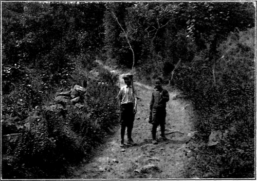 GOING FISHING. THE COUNTRY ROAD.