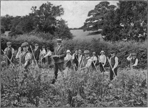 School Gardens, Ciiurt, Surrey