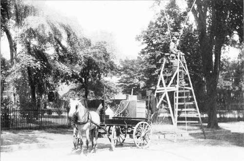 Portable Engine And Pump For Spraying Trees   Albany, N Y.