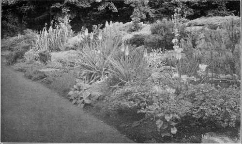 A Well Planted Bank.