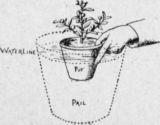 Safe Plant Watering, by Partial Immersion.