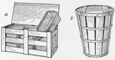 Florida tomato crate or carrier