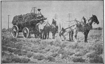 Hauling Manure Near Philadelphia