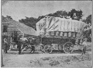 LONG ISLAND MARKET WAGON.