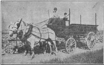 Philadelphia market wagon.