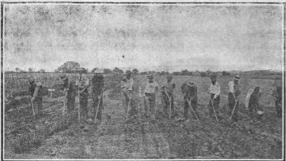 students at work IN the gardens of the pennsylvania state college.