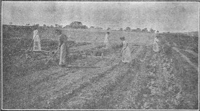 students at work in the gardens at the pennsylvania state college.