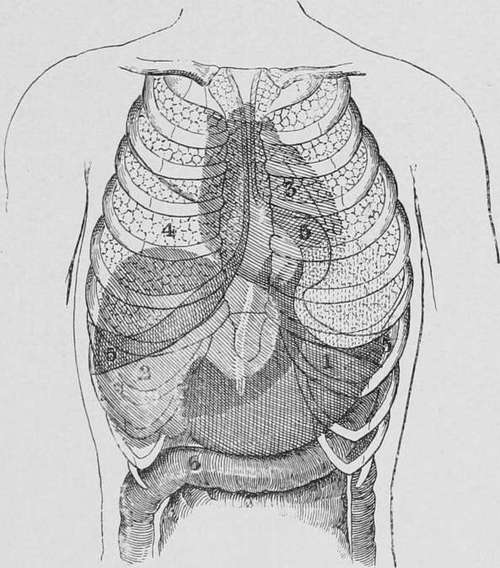 Abdominal Tumour