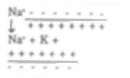 Reversal of polarity (depolarization) on stimulation, due to sudden increase m permeability of membrane to Na* influx of Na+.