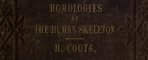 The Homologies Of The Human Skeleton