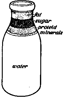 A bottle of milk showing of what it is made. Proteid is the flesh building food.