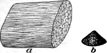 b, the mineral matter such as lime, salt and potash left from burning the piece of meat, a.