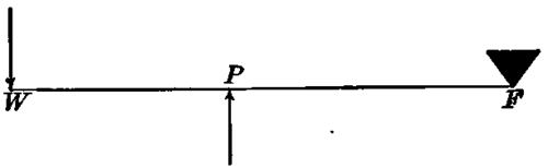A lever of the third order. F, fulcrum; p, power; TP, weight.