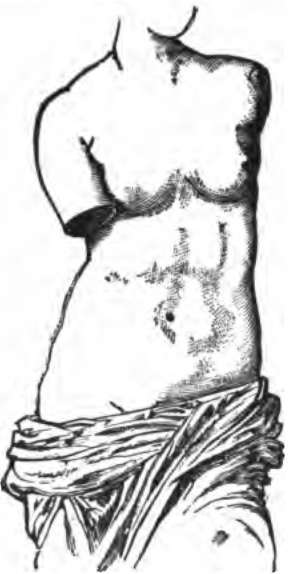 Torso of the Statue known as Venus of Milo.