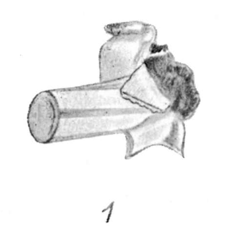 (1) 7.9 mm. bullet (expanding) from eland bull.