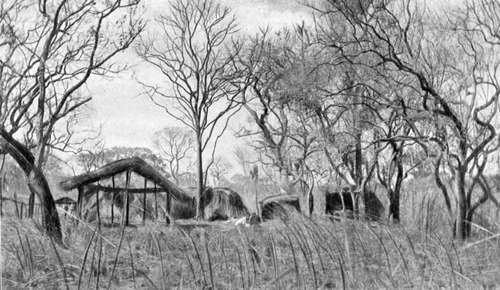 A Hunting Camp In The Bush