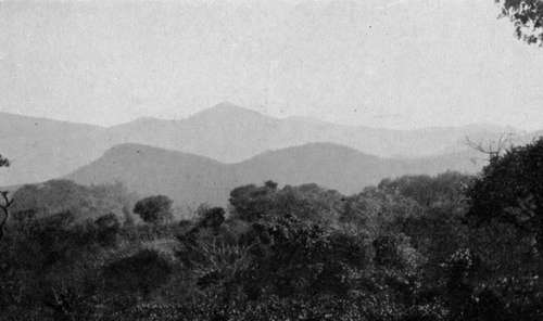 The Mlanje mountains, Nyasaland.