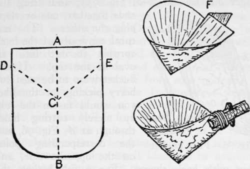 Bark dipper.