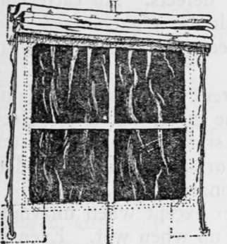 Bobbinet Window.