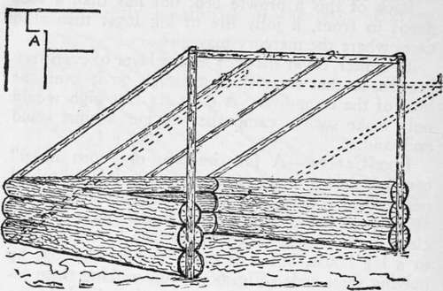 Log and Frame Camp.